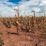Half of the world’s population will be living in water-stressed areas by 2025