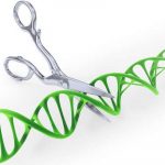 Genome Editing: It’s Not Really About Designer Babies