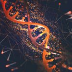 Embryo Editing to Cure Genetic Disease Has Advanced Considerably