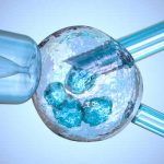 Bumping up the Stakes: Embryo Germline Editing Works Better in Viable Human Embryos
