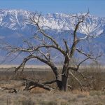 Climate Crisis Has Made Western US Megadrought Worst in 1,200 Years