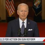 Major Gun Control Solutions? Not Coming Soon!