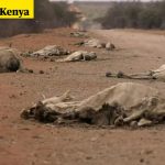 What climate vulnerability actually looks like